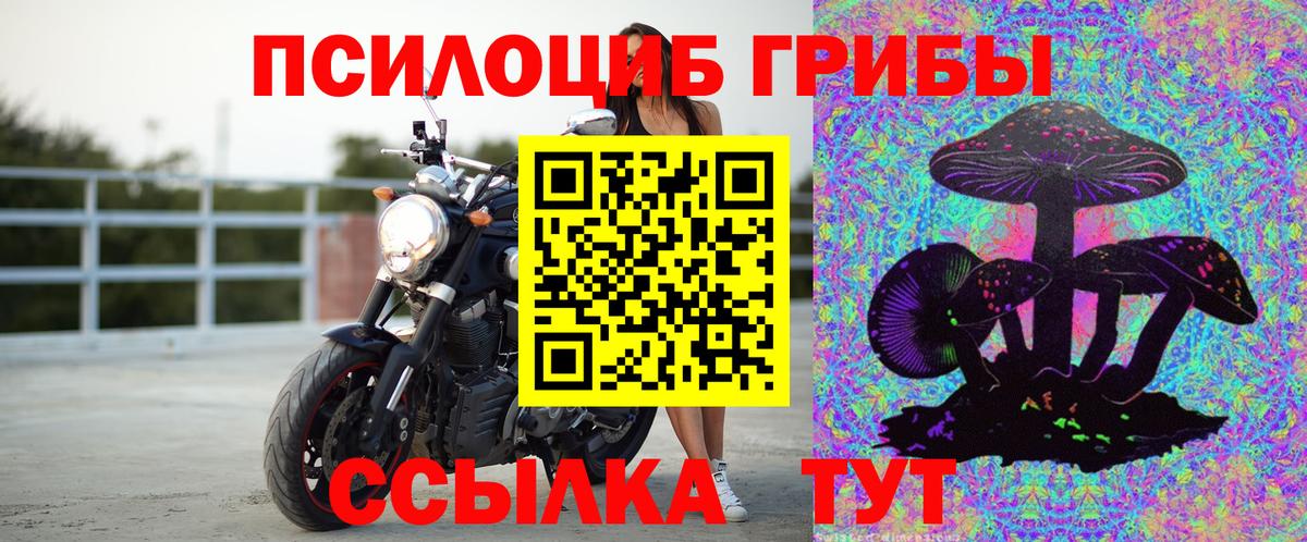 Галлюциногенные грибы Psilocybine cubensis Мытищи