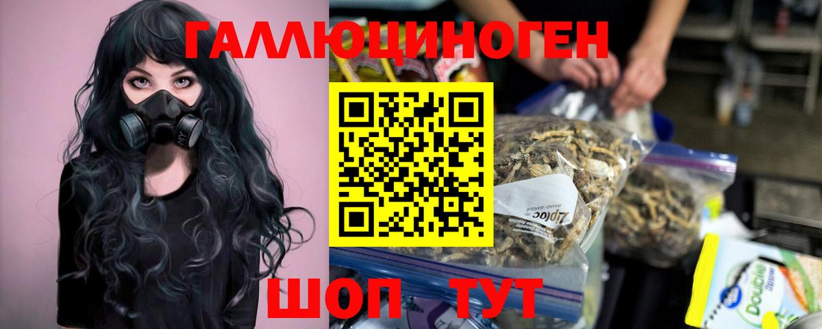 Меф Мытищи
