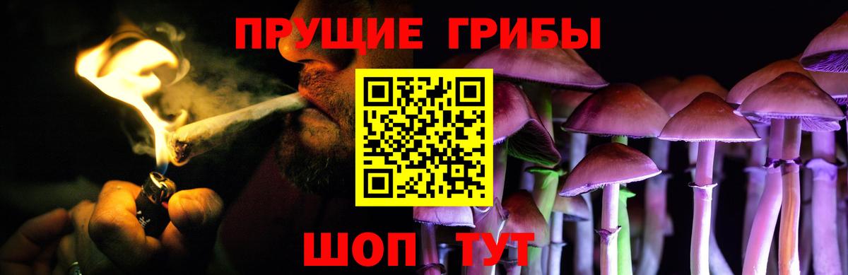Псилоцибиновые грибы GOLDEN TEACHER  Вход с VPN  Мытищи 